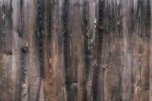 Jakie gatunki drewna na elewację?