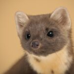 Odkryj uniwersum mody na outley.pl